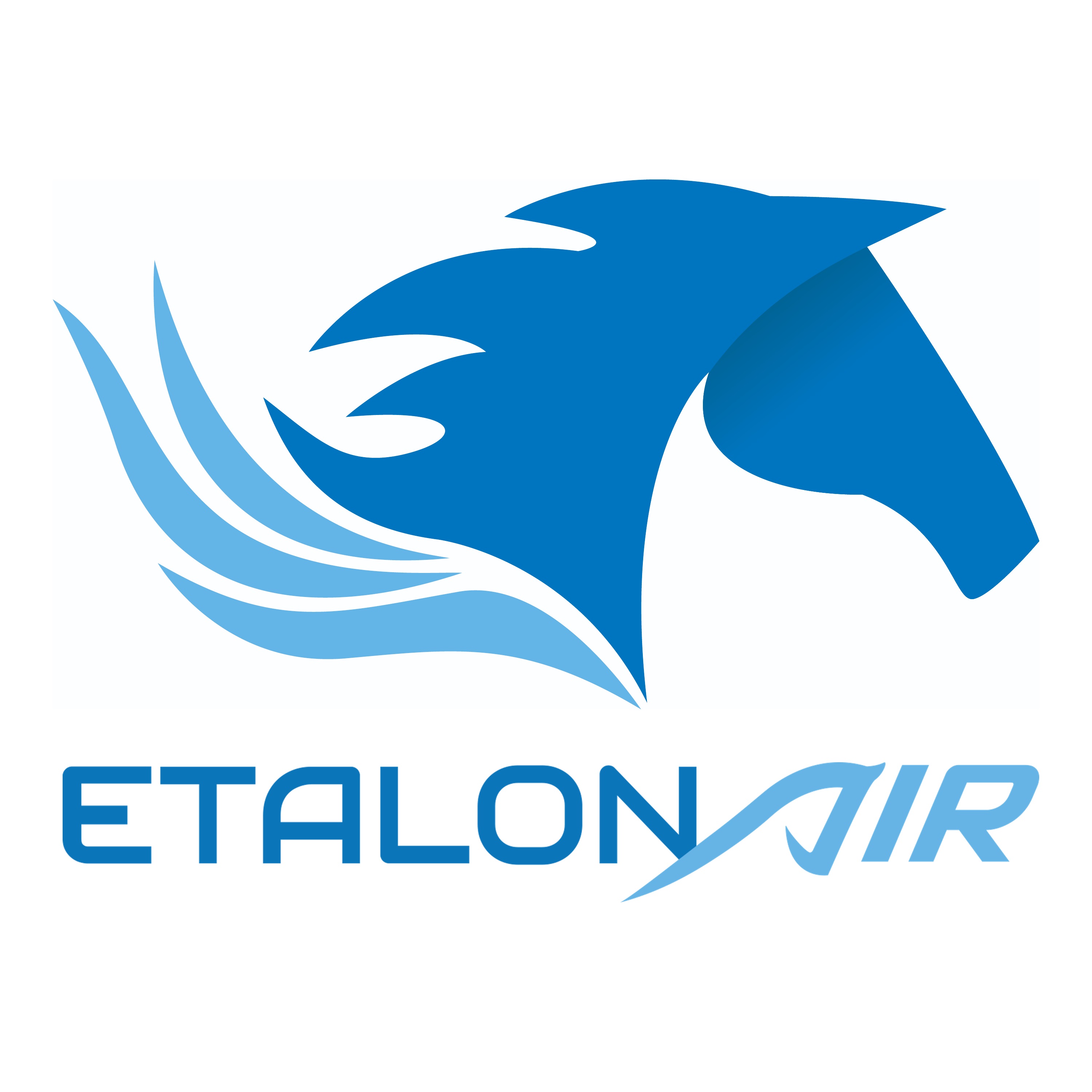 ETALONAIR SAS